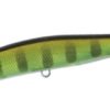 Realis Spinbait 100 Chart Gill I-Class